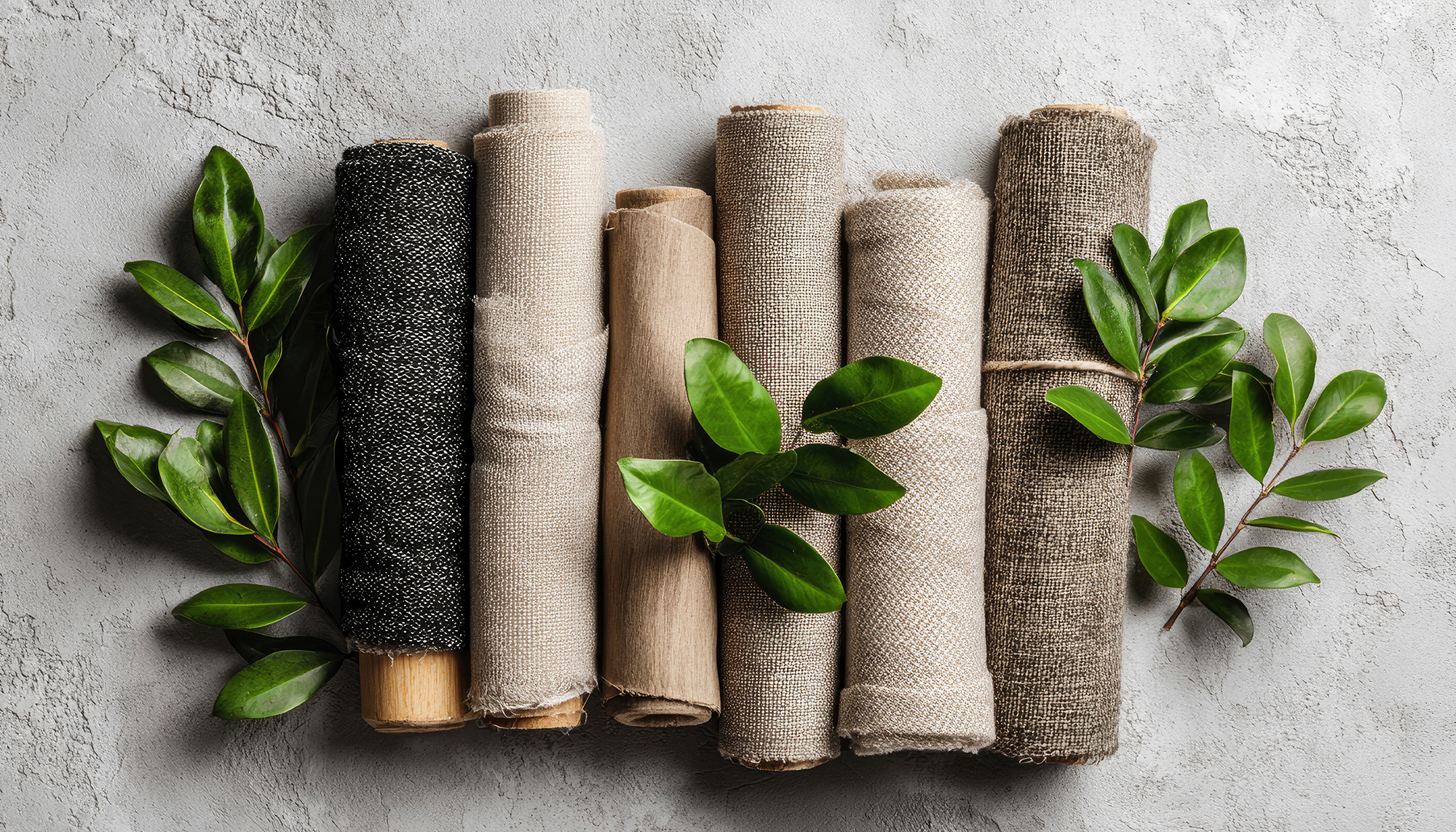 環境対応、健康促進など、新たなニーズに対応する製品開発