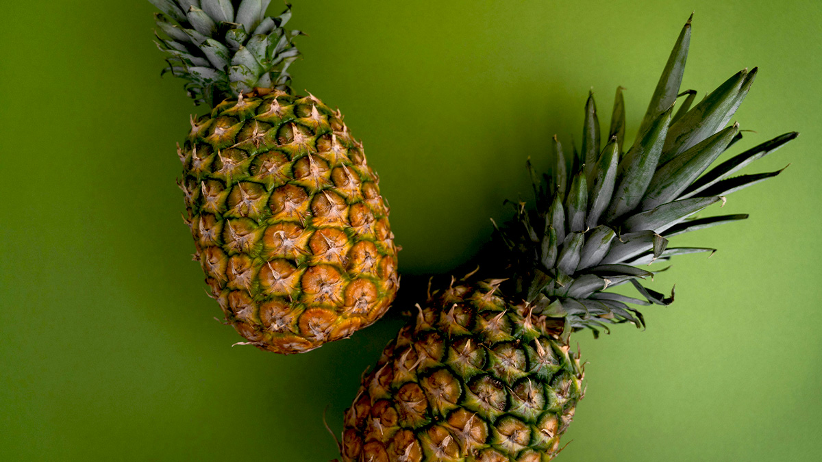 パイナップルを加工した繊維