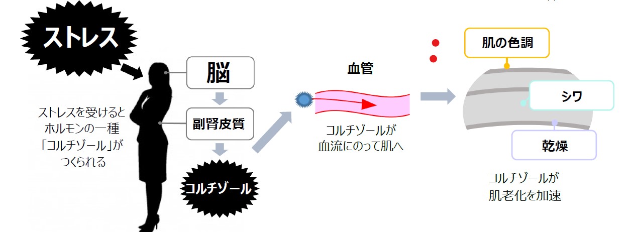 アイケアクリーム