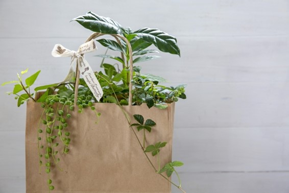 サステナビリティ4